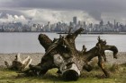 Vancouver beach